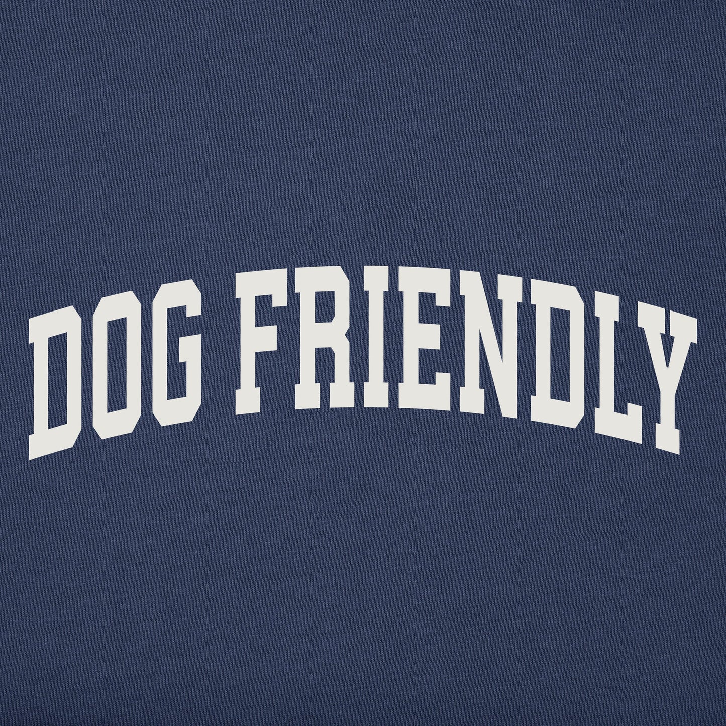 Women's Dog Friendly Arch Short Sleeve Crusher Boxy Tee