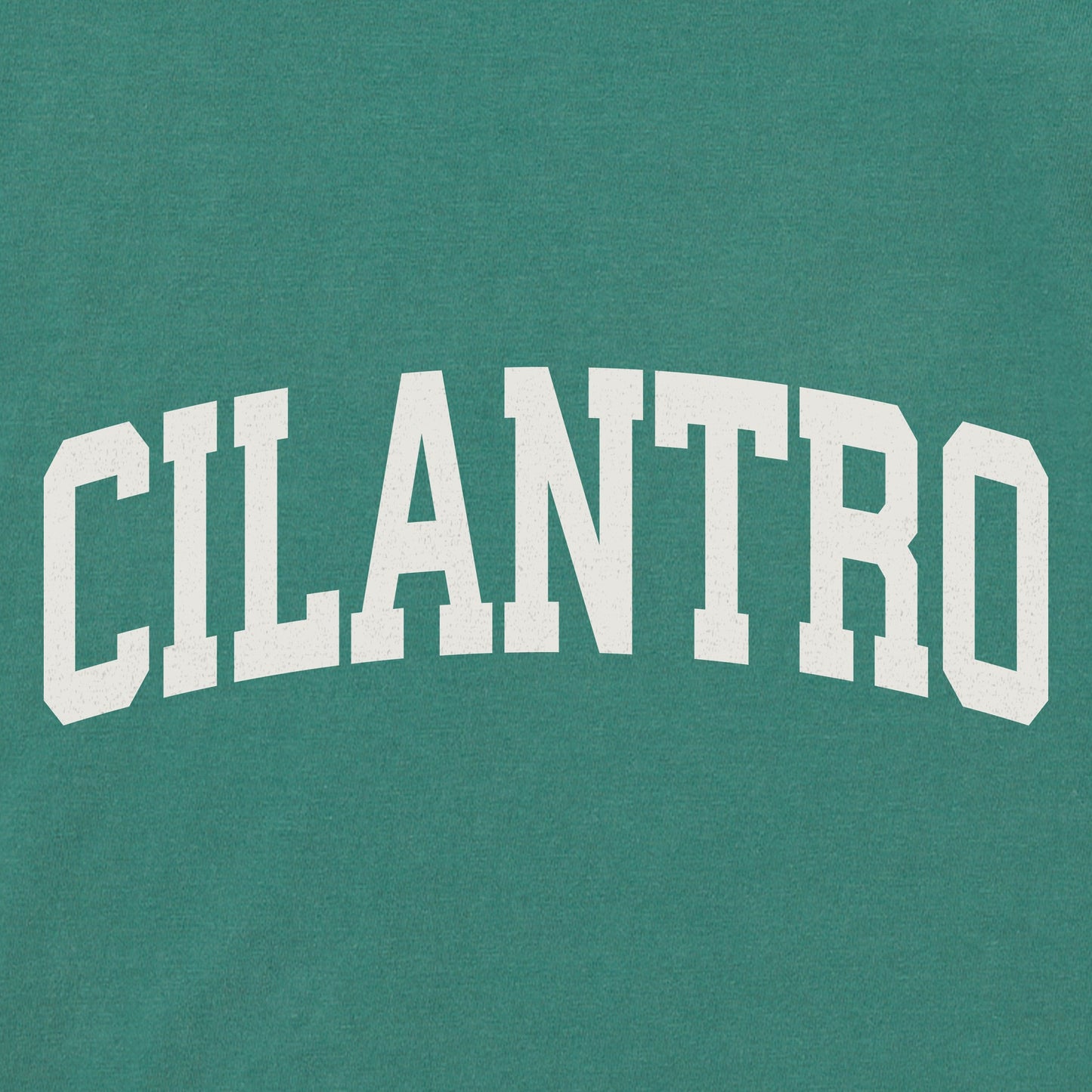 Women's Cilantro Arch Short Sleeve Crusher Boxy Tee