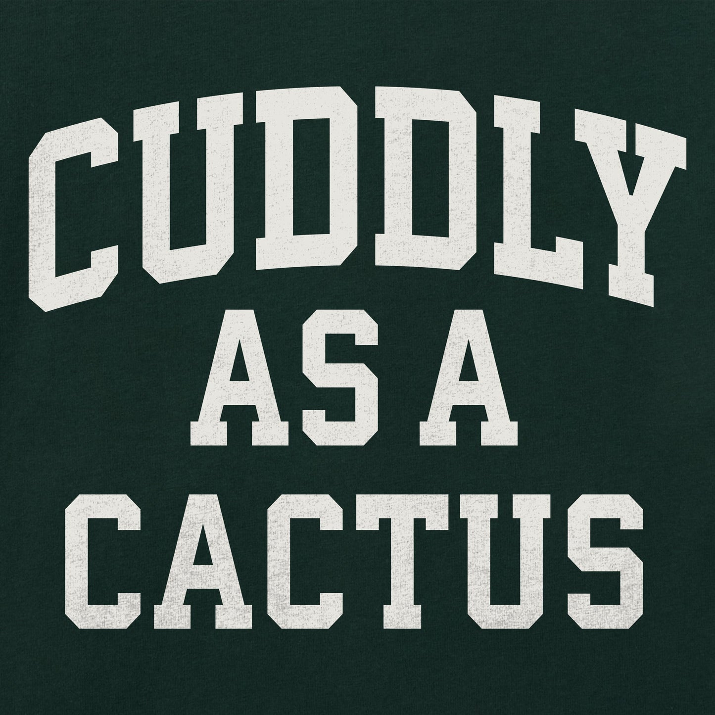 Women's Cuddly as a Cactus Arch Long Sleeve Crusher Tee