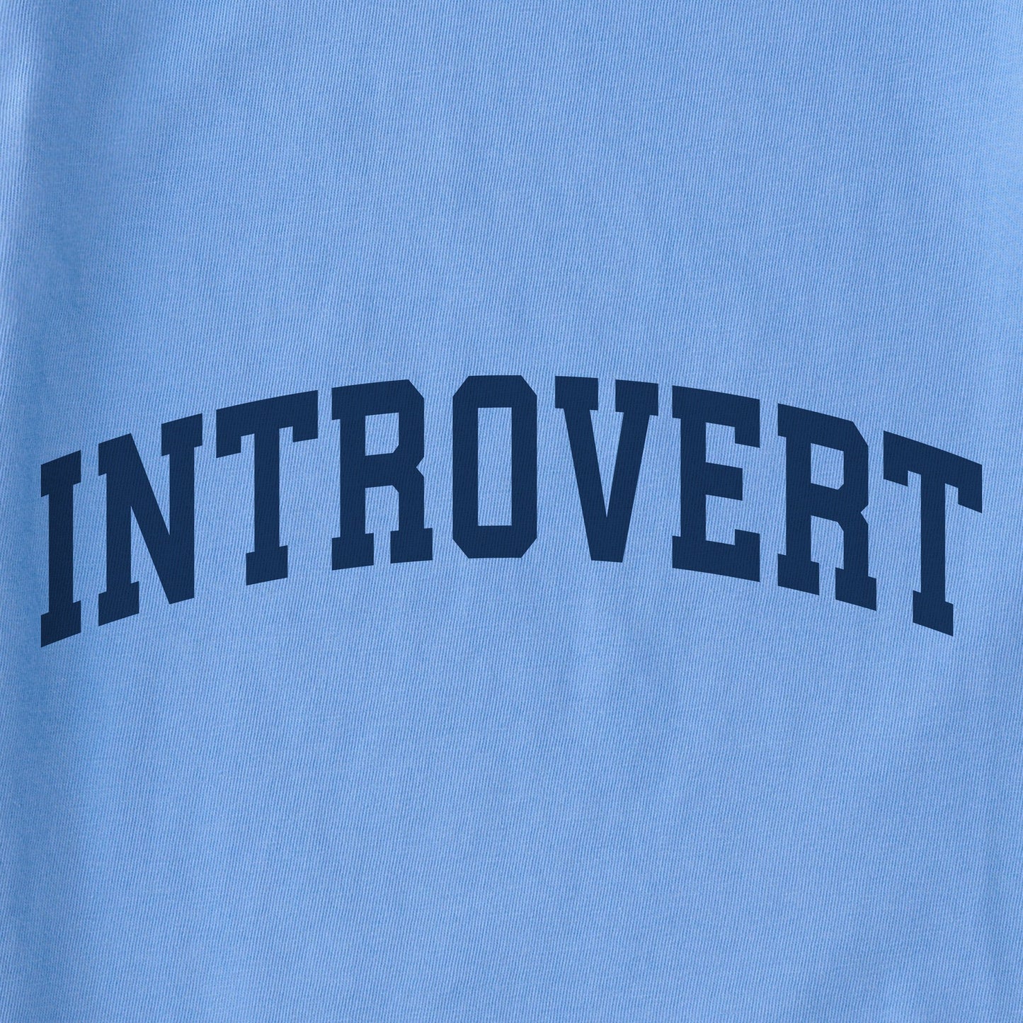 Kids Introvert Arch Short Sleeve Crusher Tee