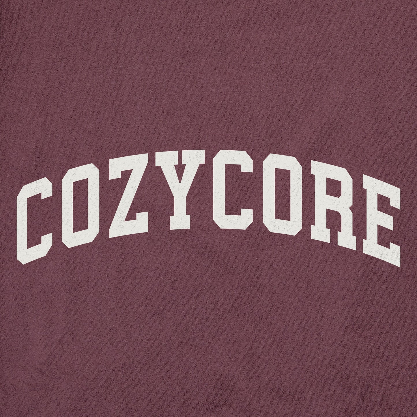 Women's Cozycore Arch Long Sleeve Crusher Tee