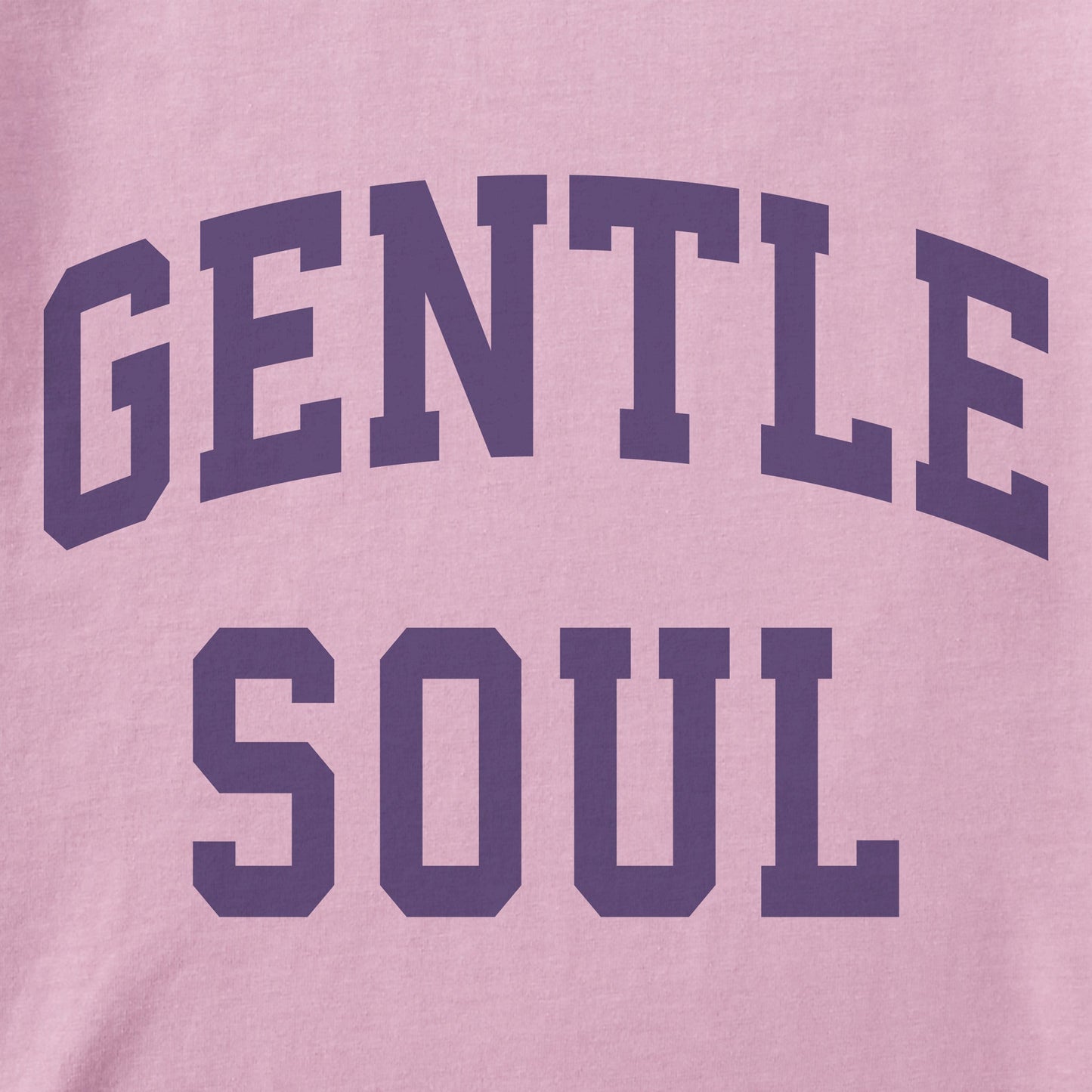 Women's Gentle Soul Arch Short Sleeve Crusher Vee