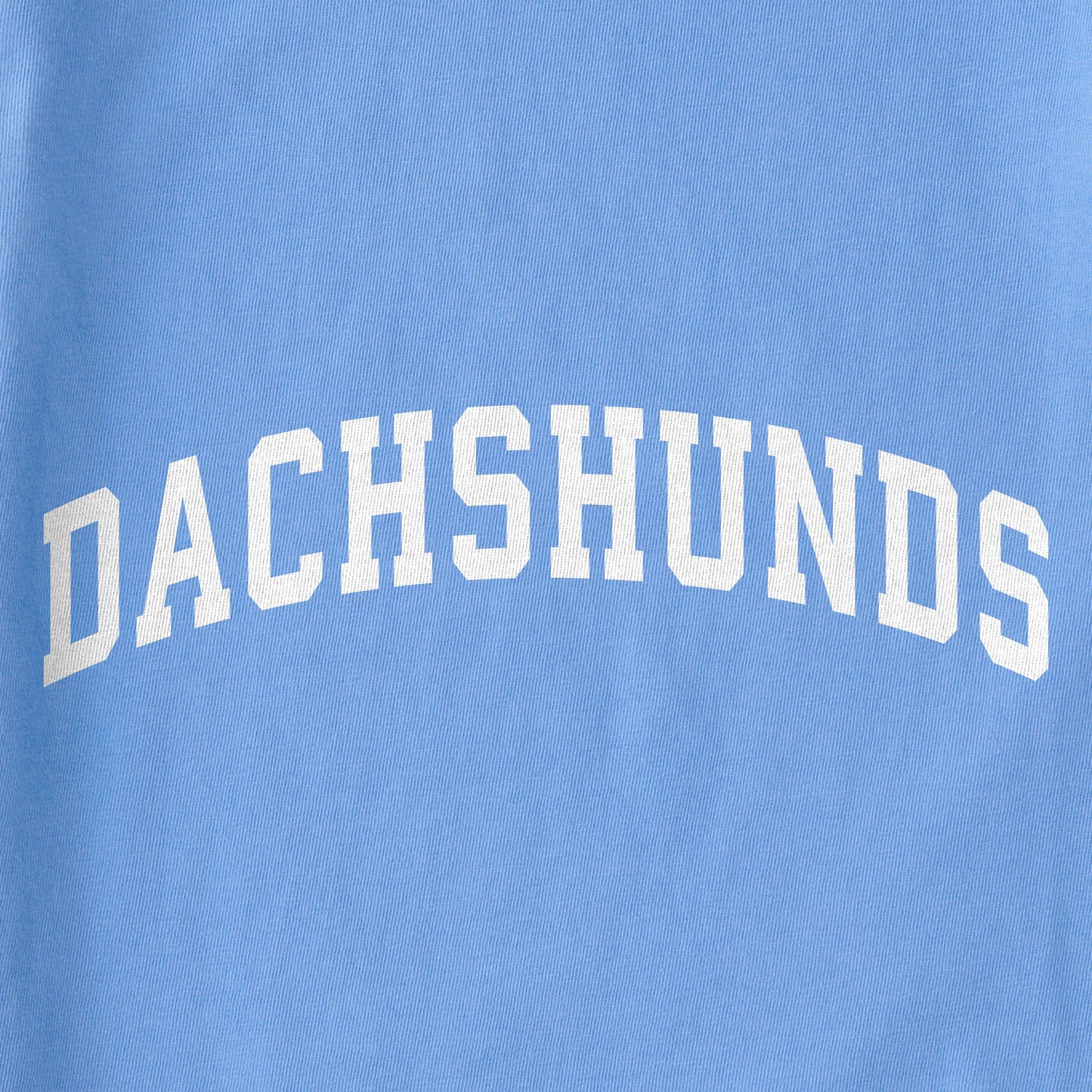 Women's Dachshunds Arch Short Sleeve Crusher Tee