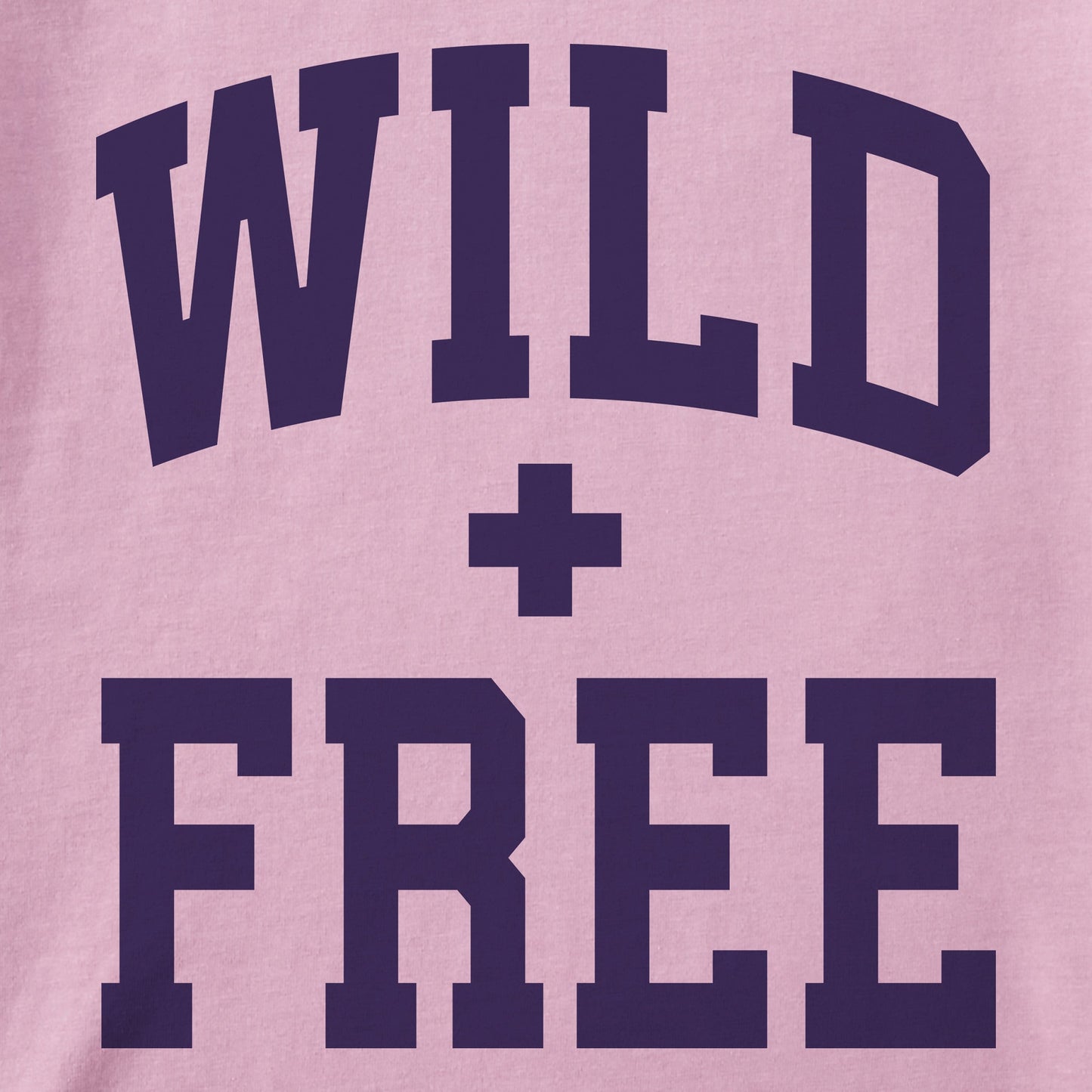 Women's Wild and Free Arch Short Sleeve Crusher Boxy Tee