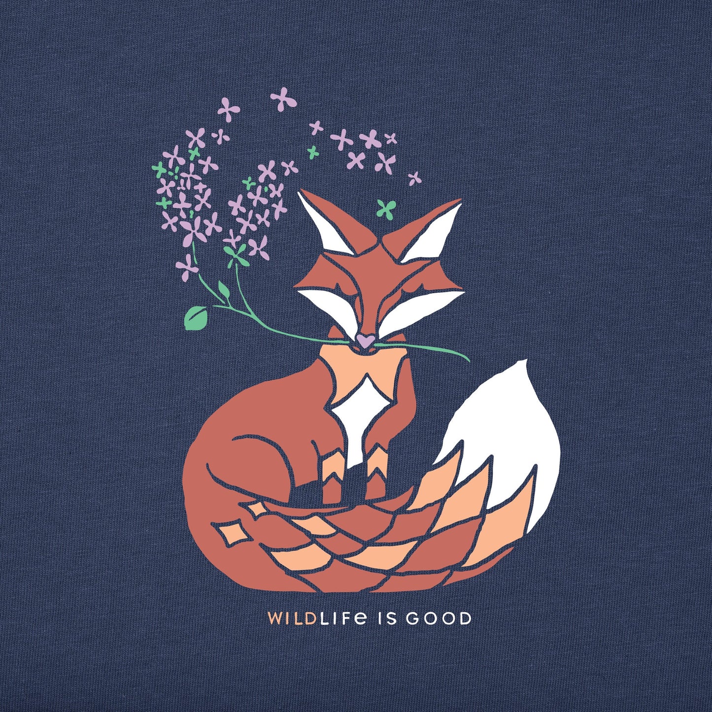 Women's Wild Fox Long Sleeve Crusher Vee