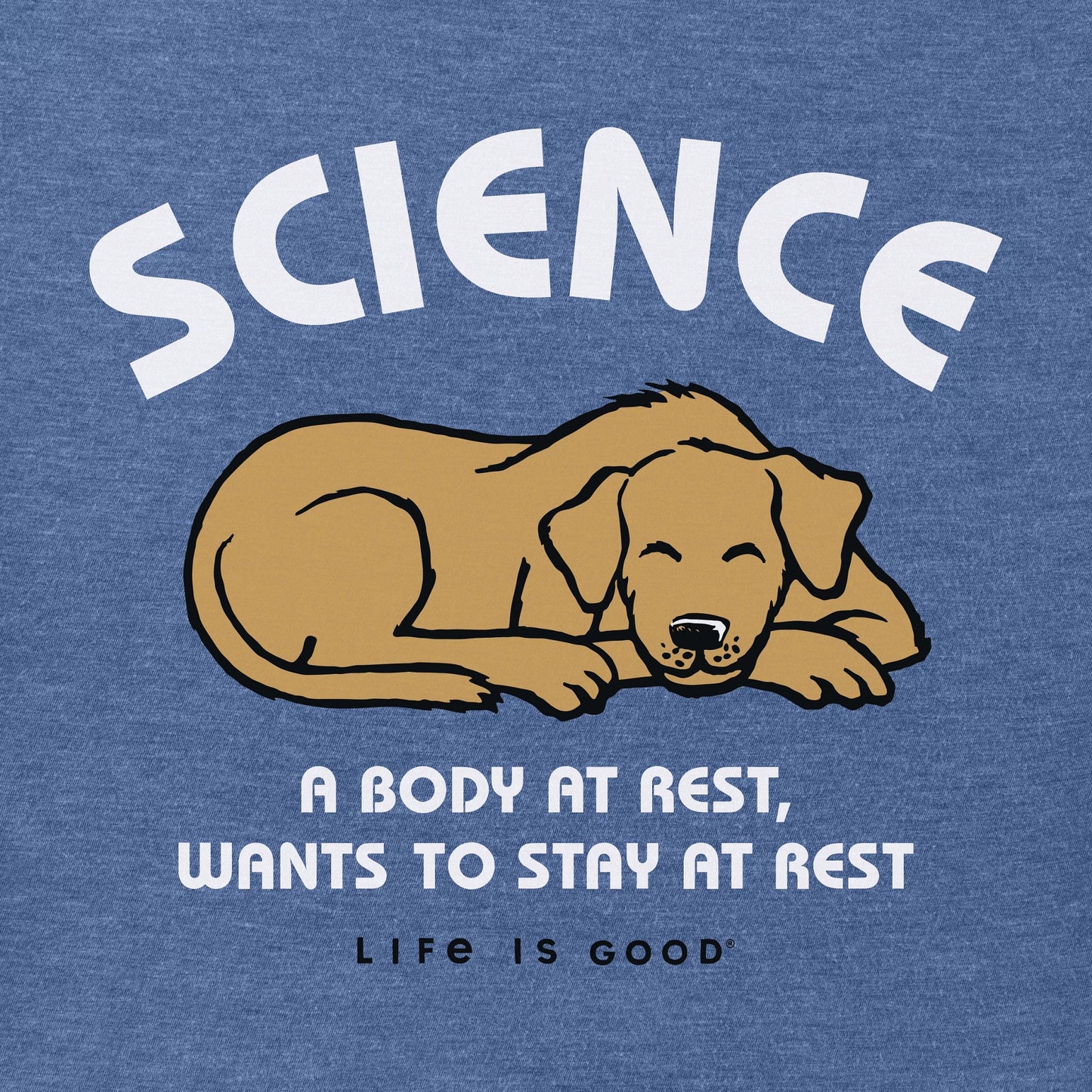 Men's Science A Body At Rest Short Sleeve Crusher Tee