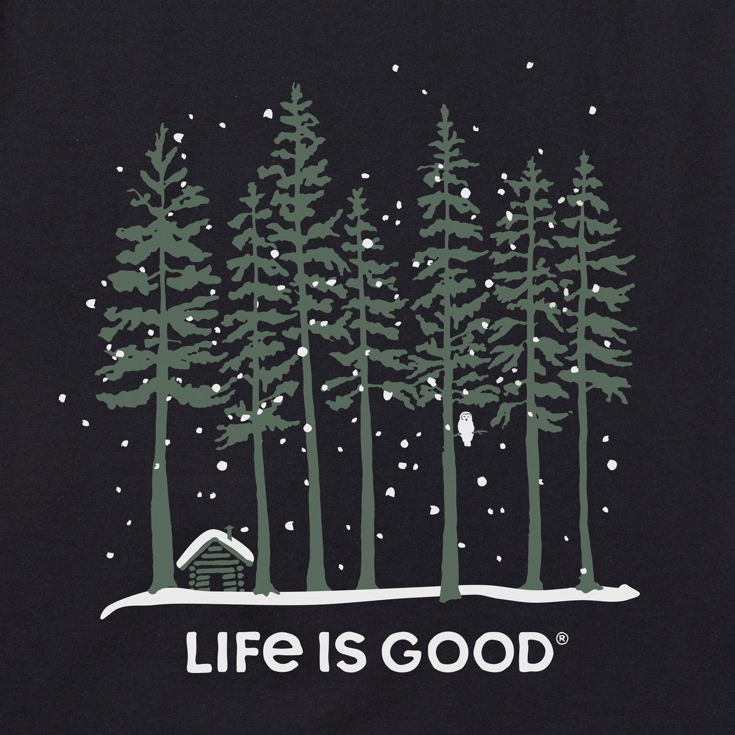 Women's Snowy Owl Tall Pines Short Sleeve Crusher Vee