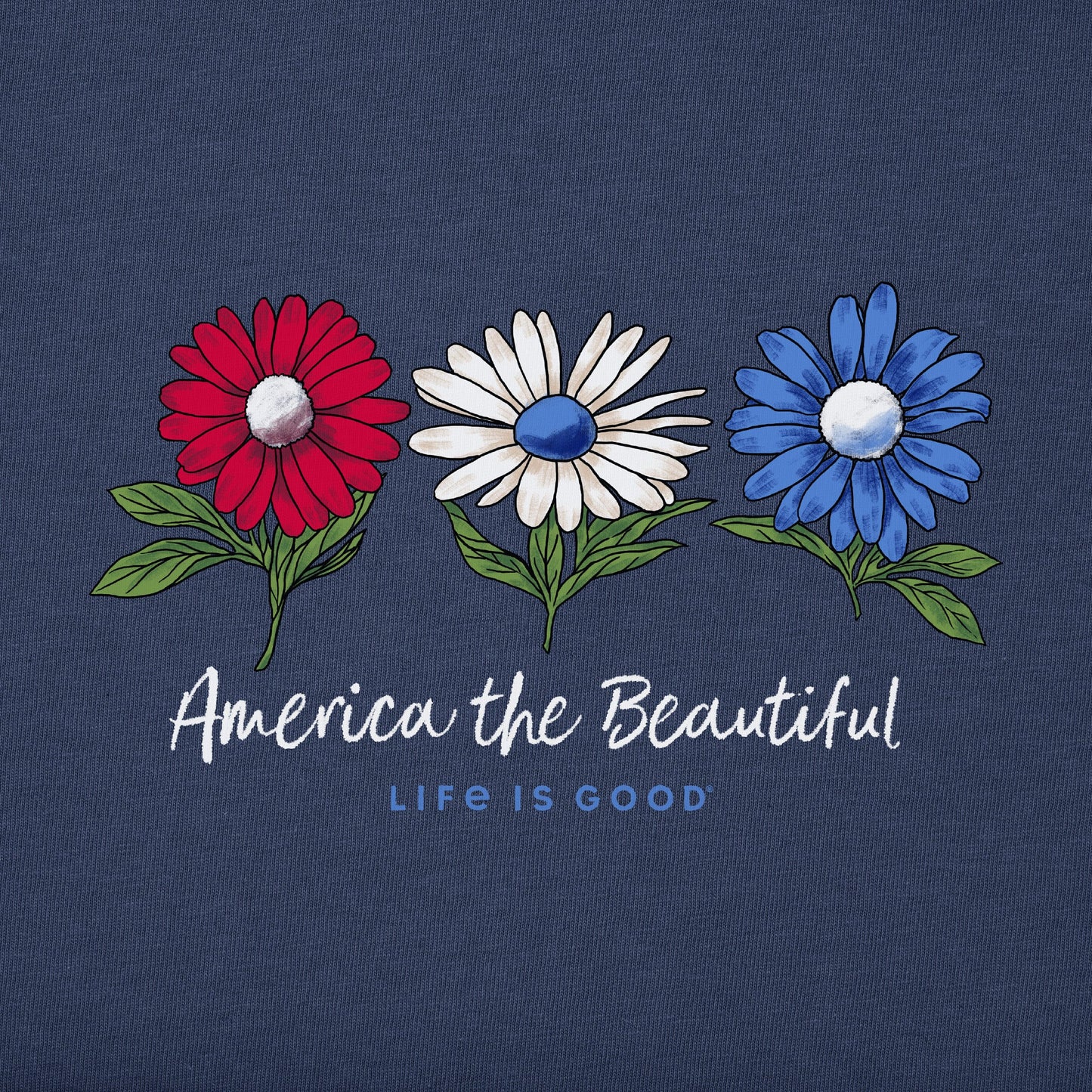 Women's America the Beautiful Daisies Short Sleeve Vee