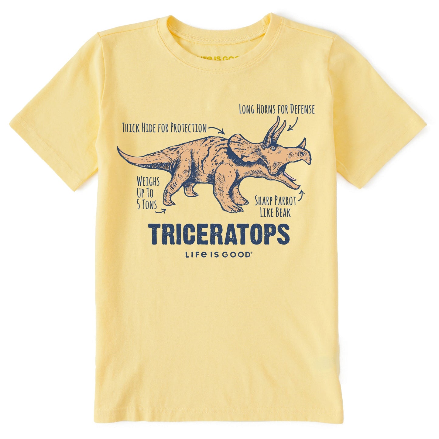 Kids Triceratops Short Sleeve Crusher Tee