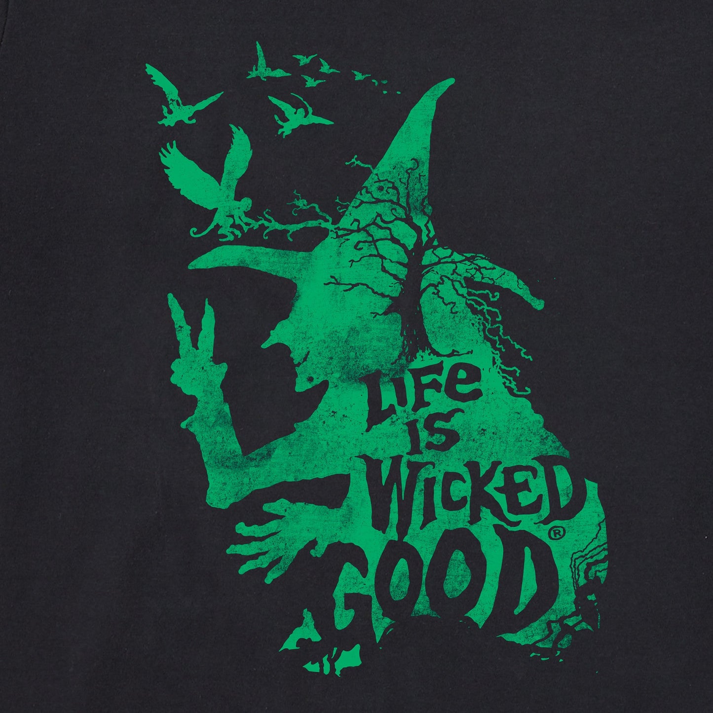 Women's Wizard of Oz Life is Wicked Good Witch Short Sleeve Tee