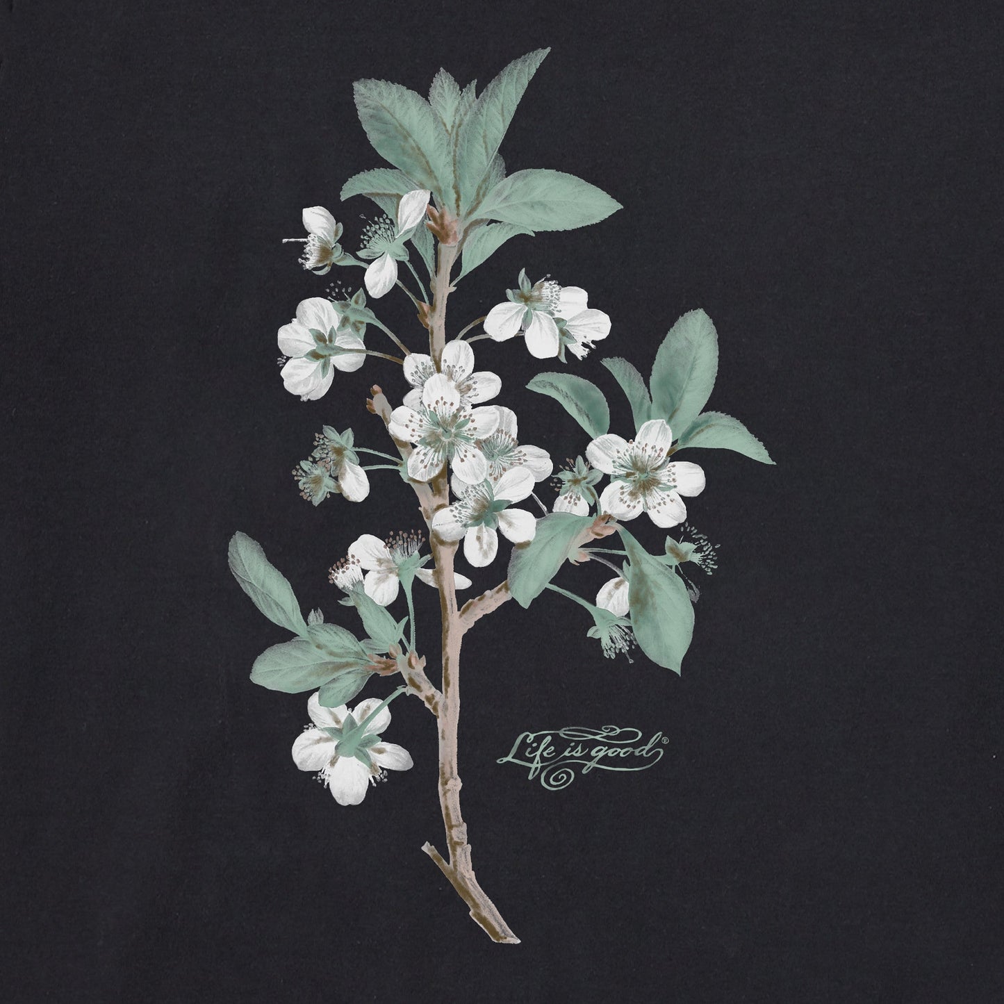 Women's Antique Plum Blossom Painting Long Sleeve Crusher Tee