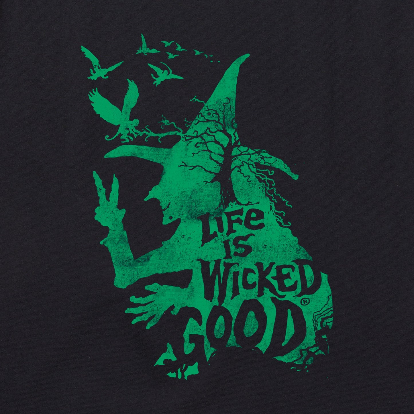 Women's Wizard of Oz Life is Wicked Good Witch Short Sleeve Vee