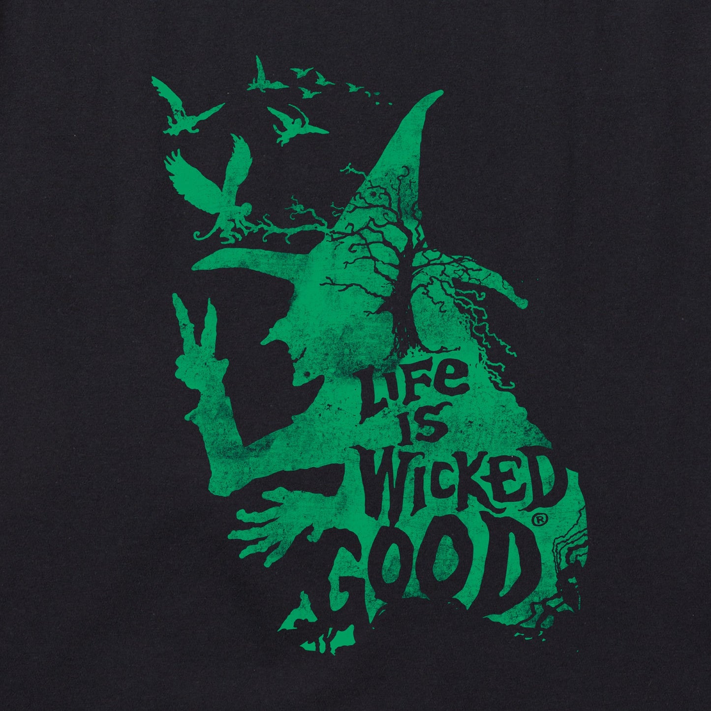 Women's Wizard of Oz Life is Wicked Good Witch Long Sleeve Crusher Vee