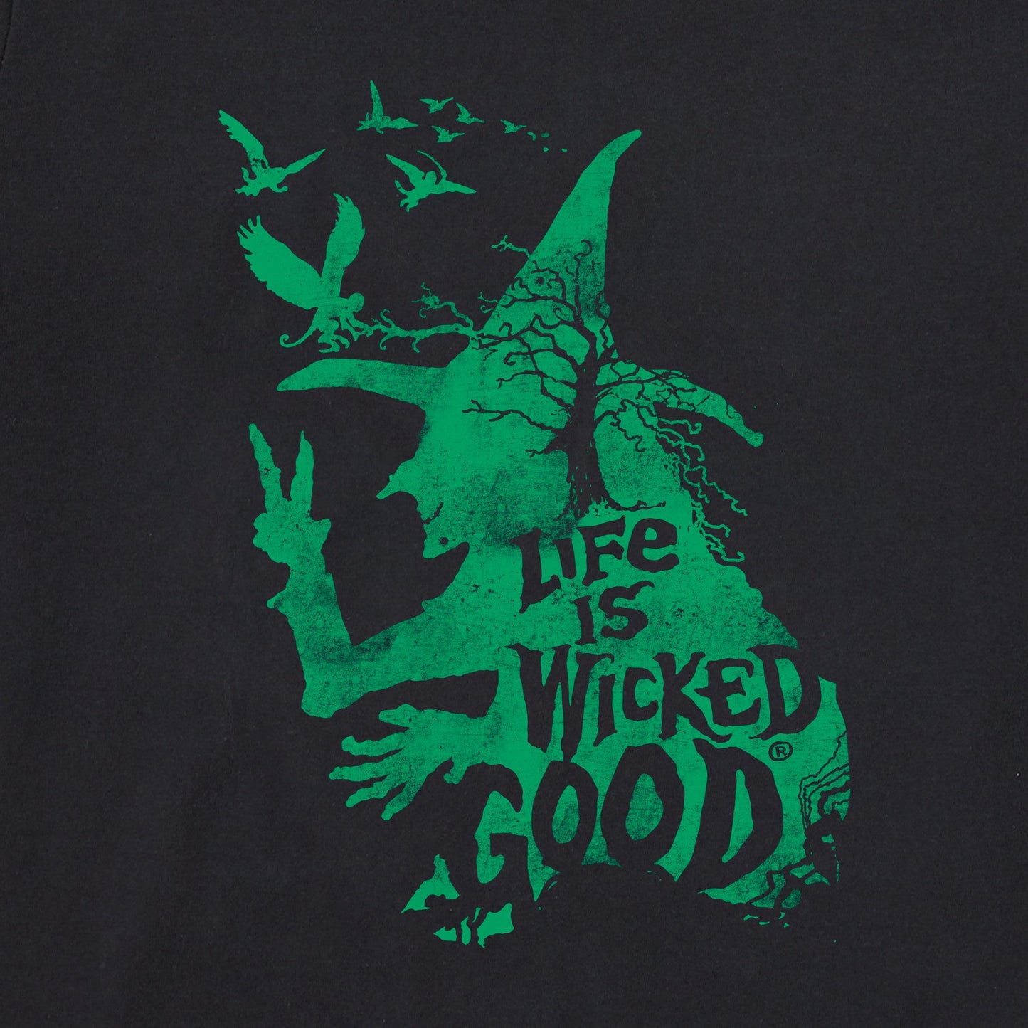 Women's Wizard of Oz Life is Wicked Good Witch Long Sleeve Crusher Tee