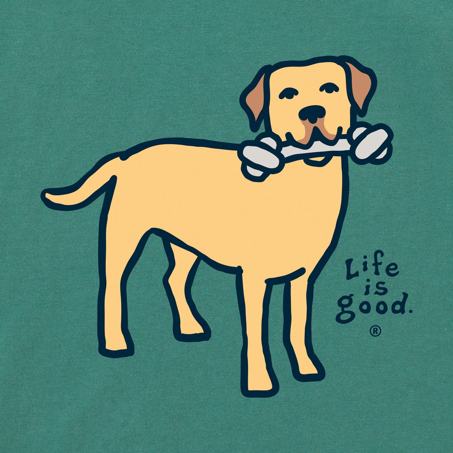 Women's Style Lab Short Sleeve Crusher Tee