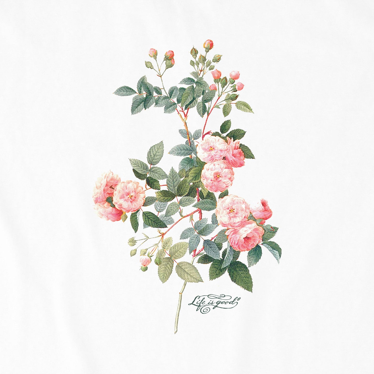 Women's Strength in Softness Antique Flowers Short Sleeve Tee