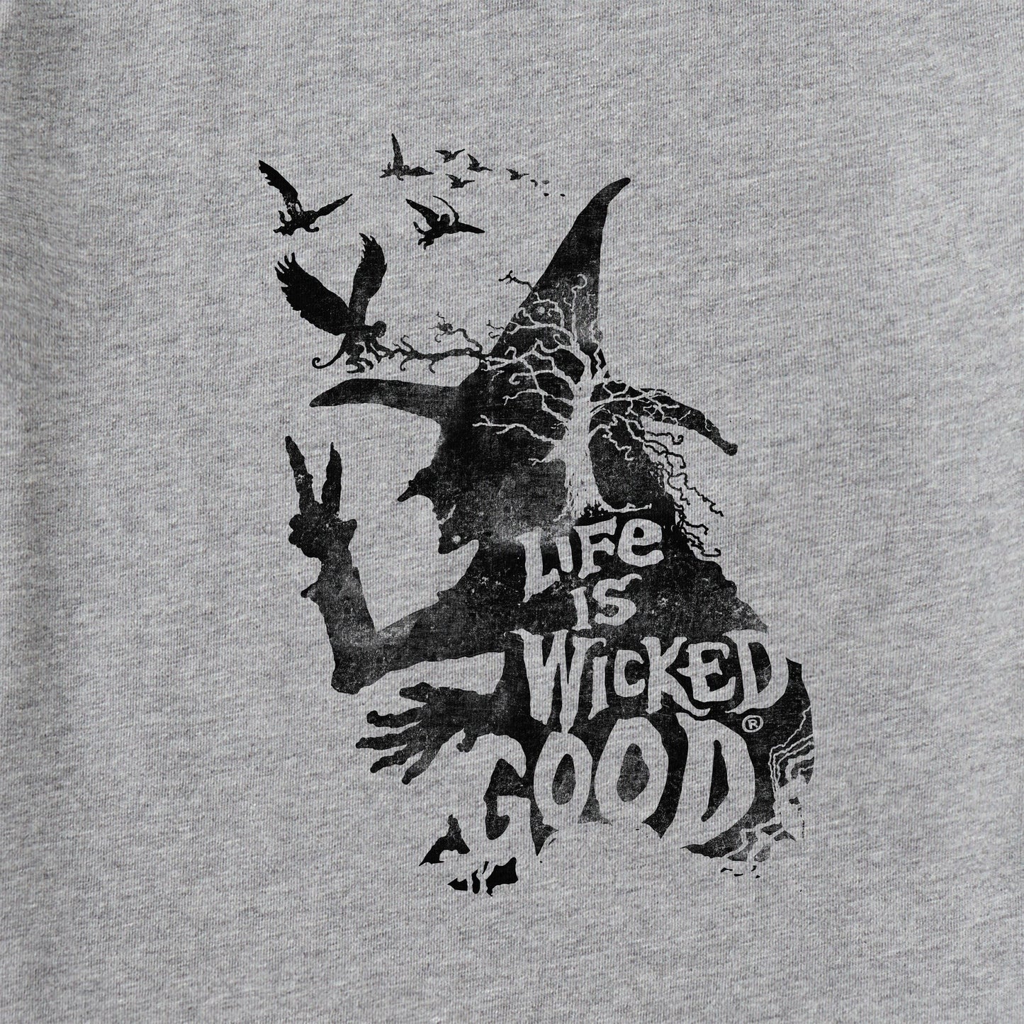 Women's Wizard of Oz Life is Wicked Good Witch Long Sleeve Crusher Tee