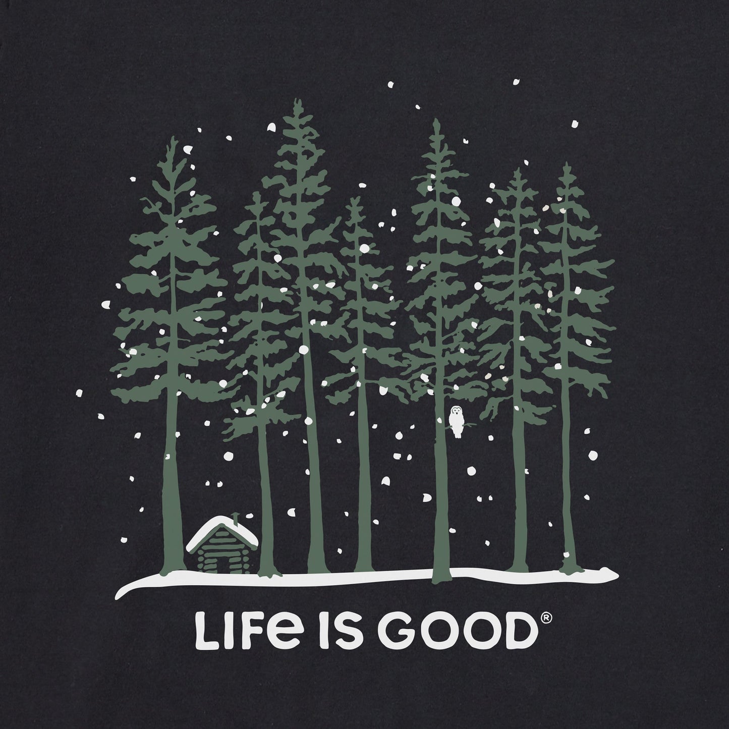 Women's Snowy Owl Tall Pines Long Sleeve Crusher Tee