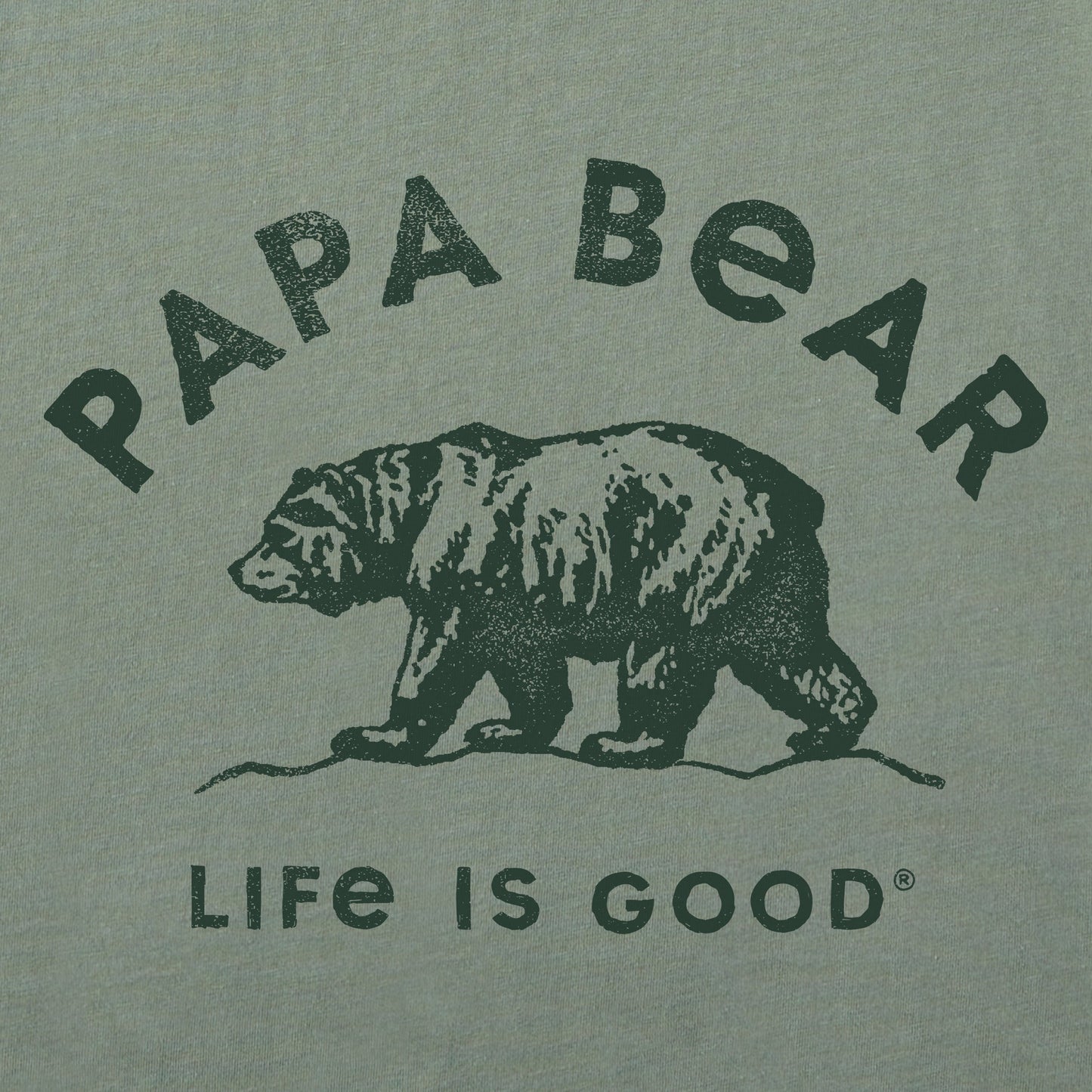 Men's Papa Bear Outdoors Short Sleeve Crusher Tee
