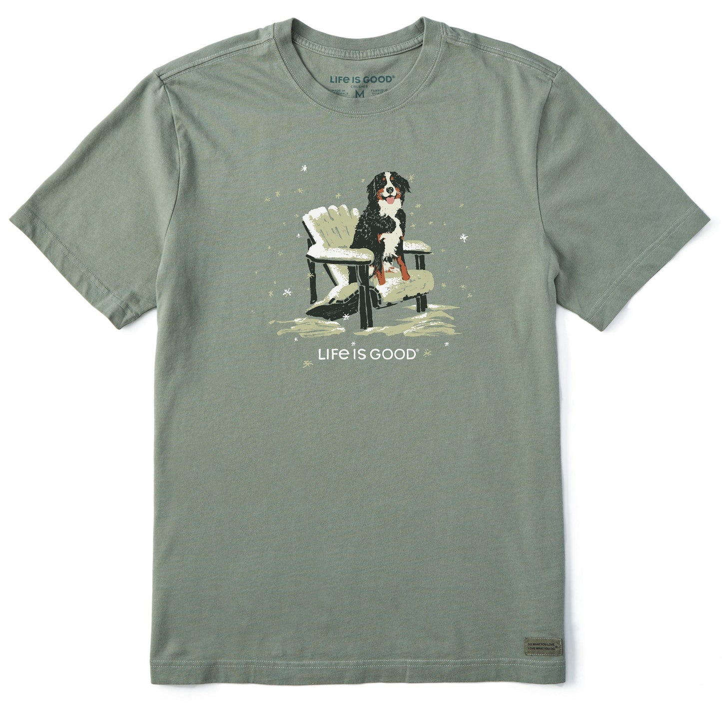 Men's Snowy Adirondack Bernese Short Sleeve Crusher Tee
