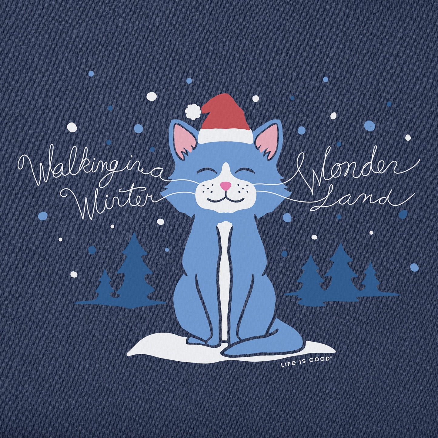 Women's Winter Wonderland Cat Long Sleeve Crusher Tee