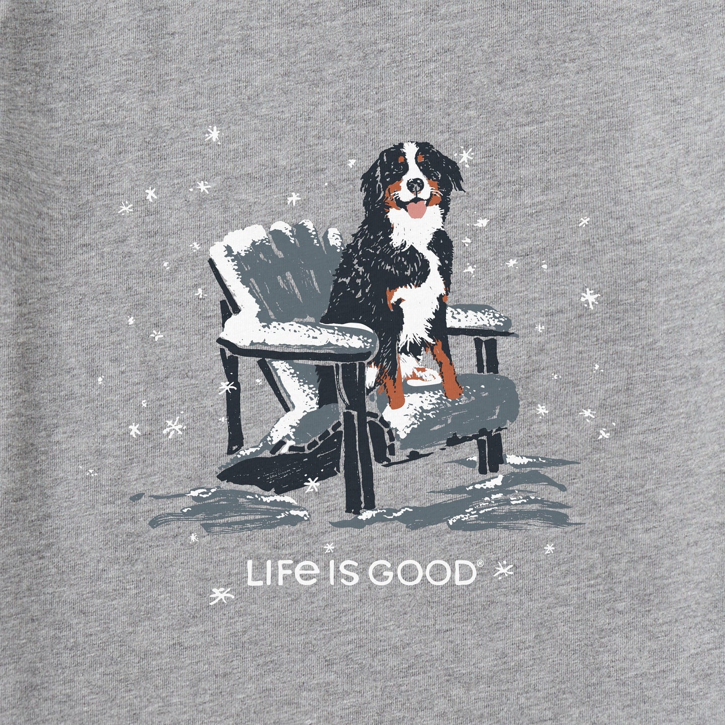 Women's Snowy Adirondack Bernese Long Sleeve Crusher Tee