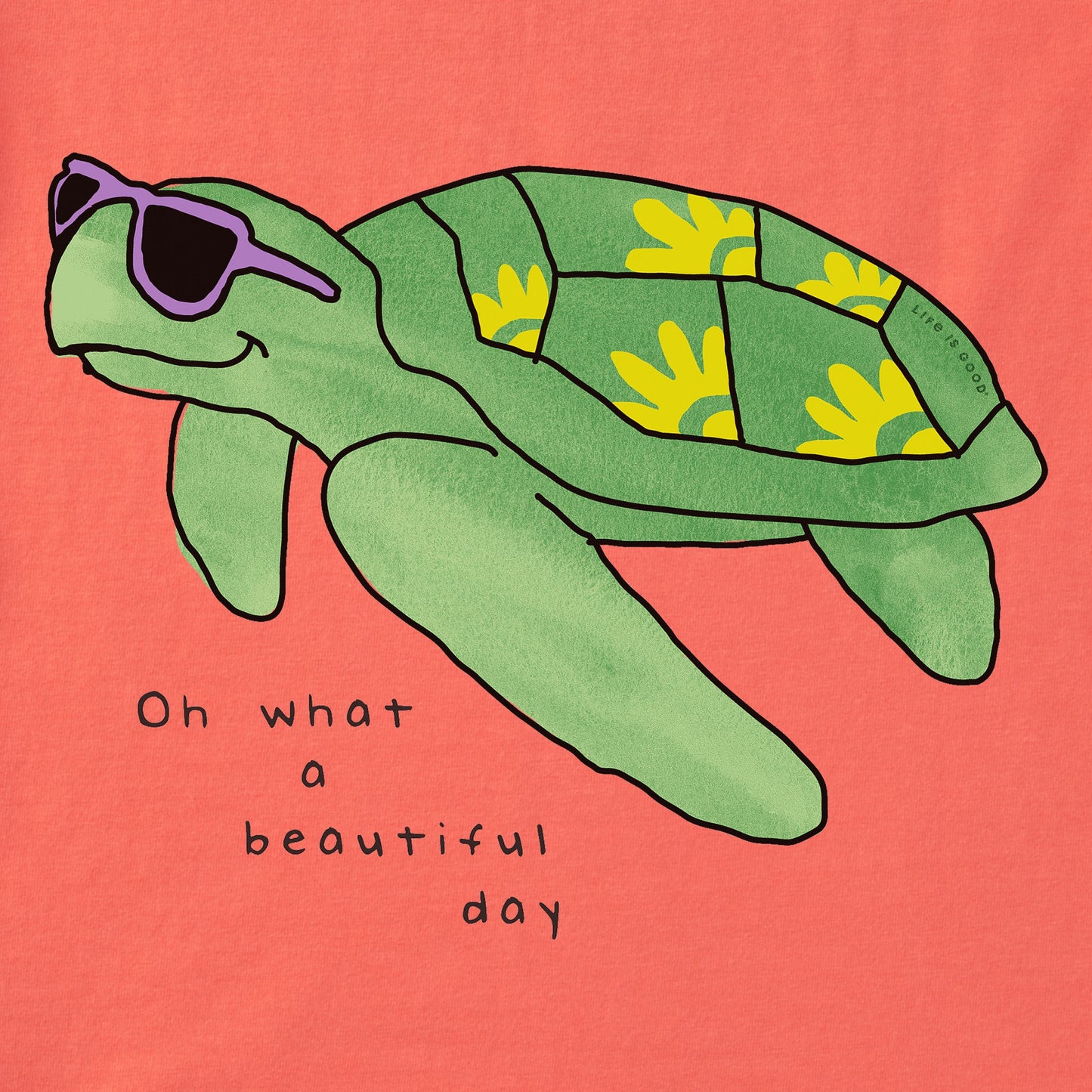 Women's Beautiful Day Turtle Short Sleeve Tee