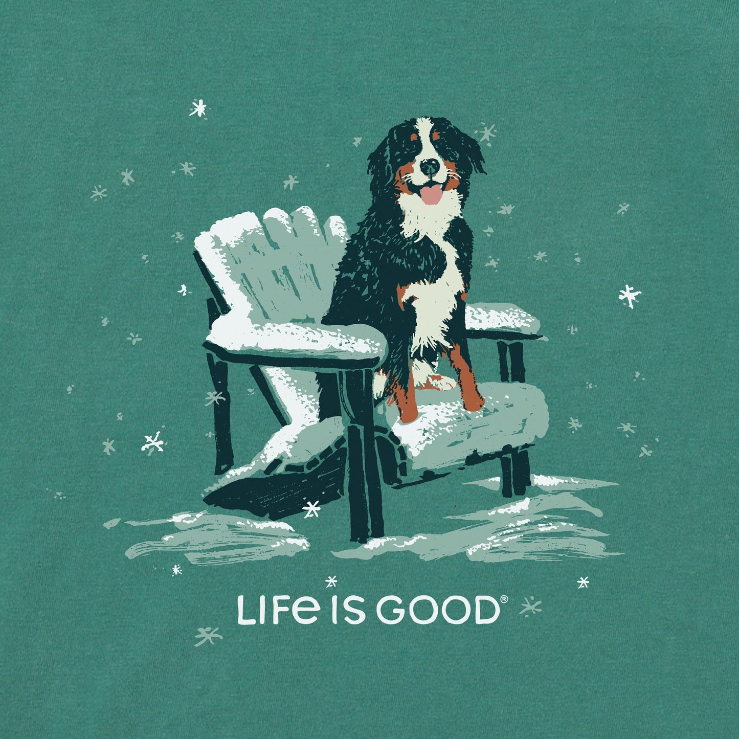 Men's Snowy Adirondack Bernese Simply True Fleece Crew