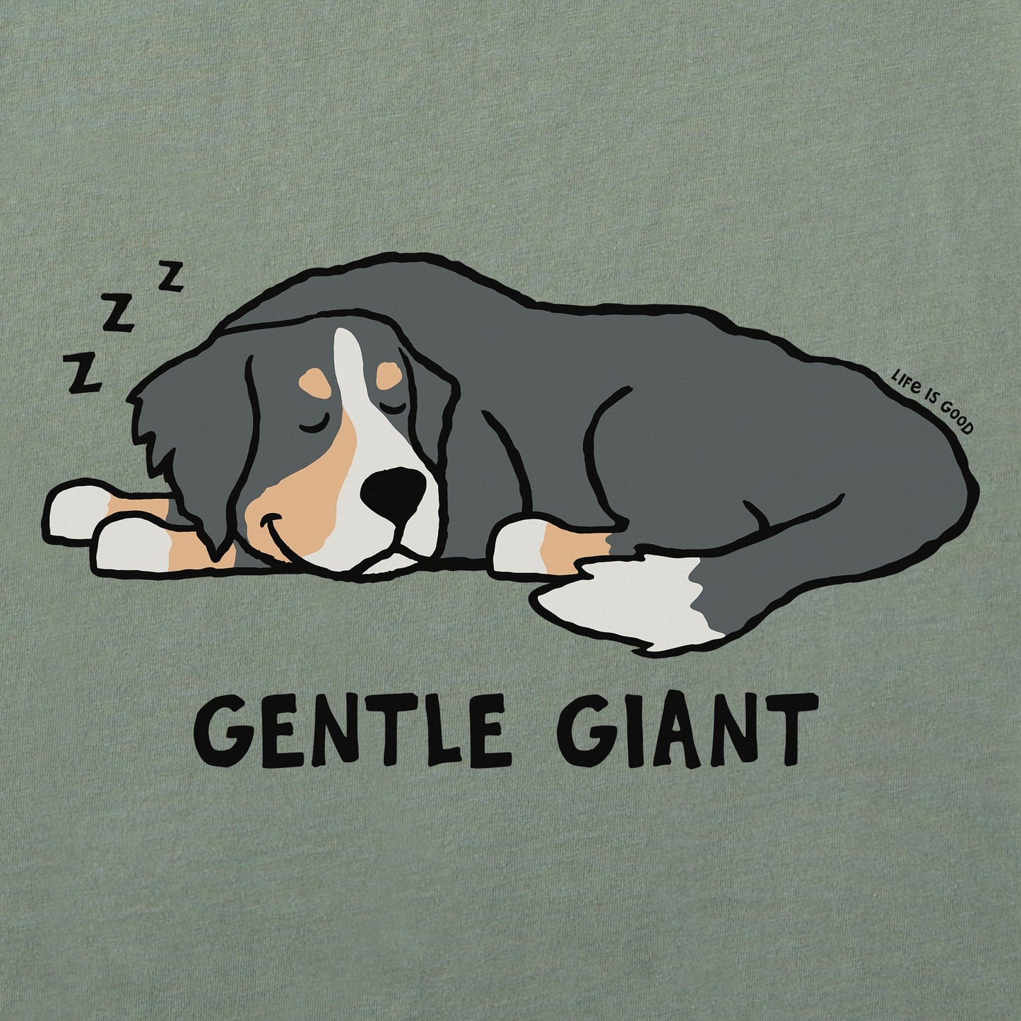 Women's Bernese Gentle Giant Short Sleeve Crusher Tee
