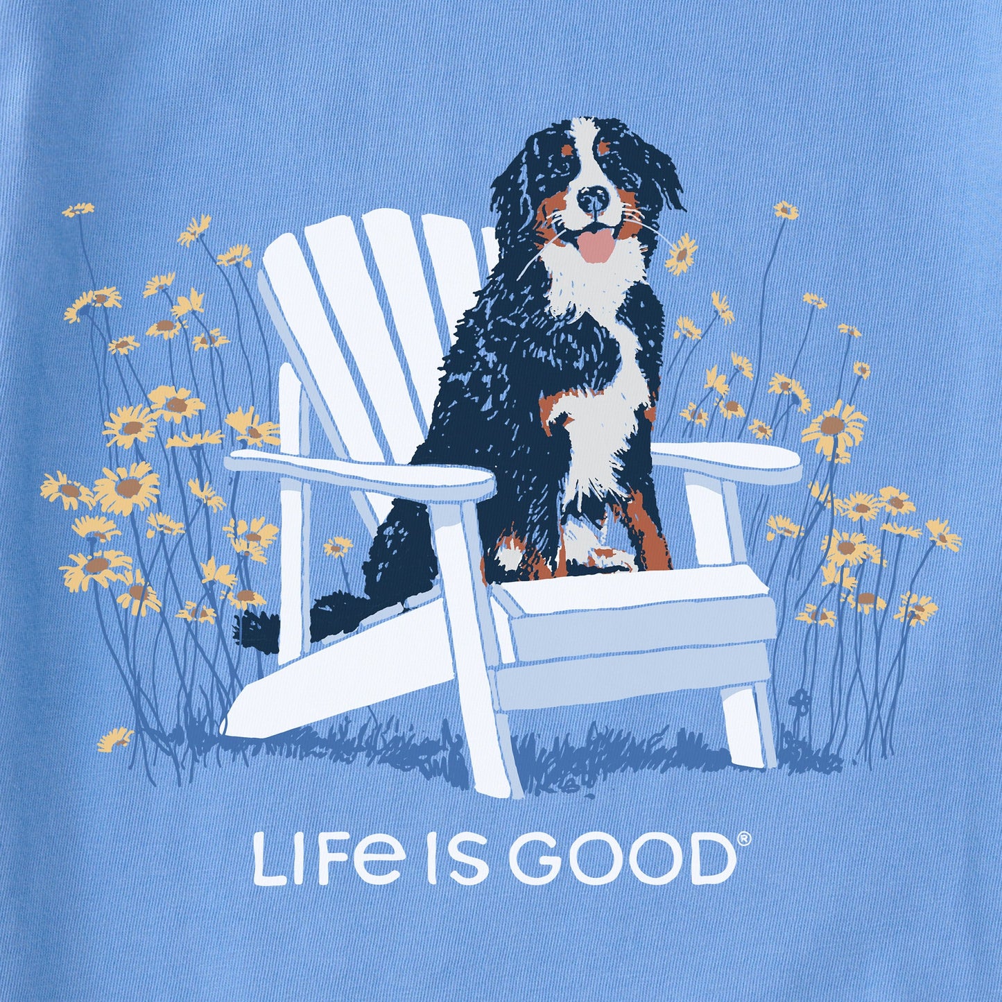 Women's Spring Adirondack Bernese Short Sleeve Tee