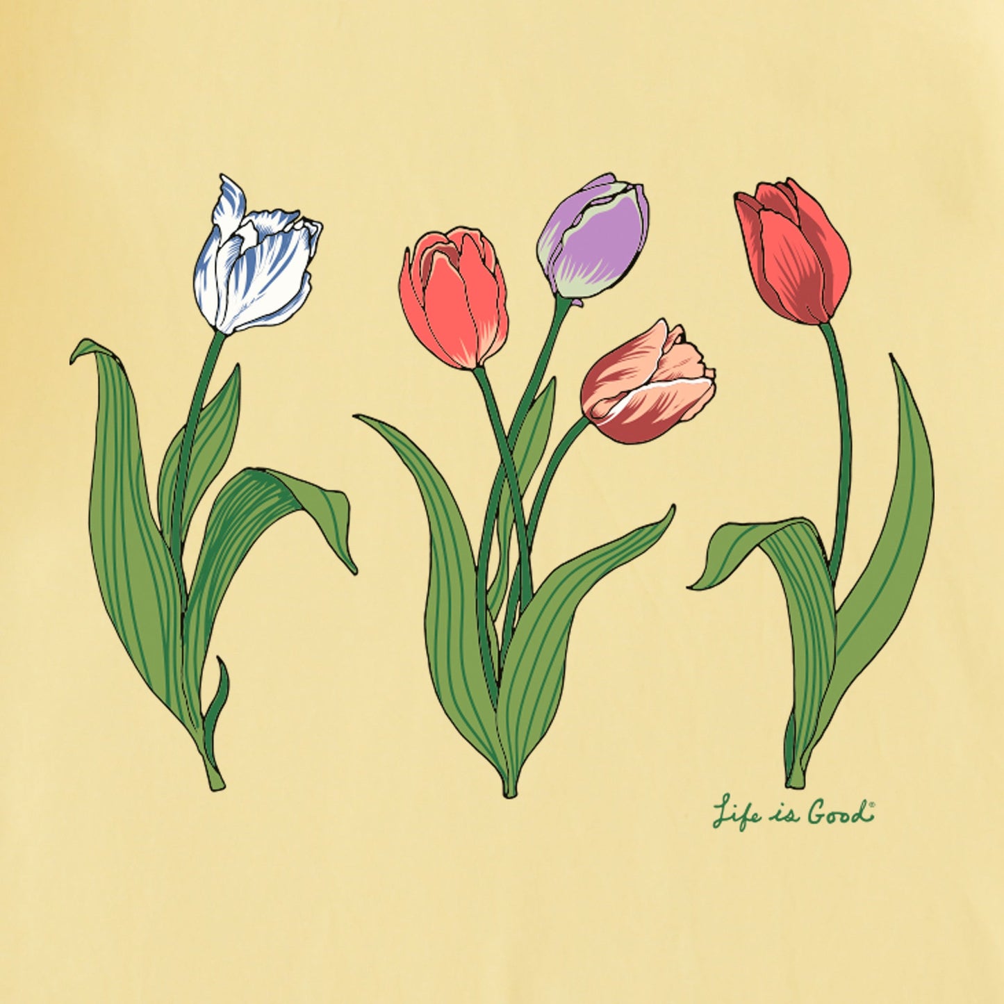 Women's 3 Genuine Tulips Short Sleeve Crusher Tee