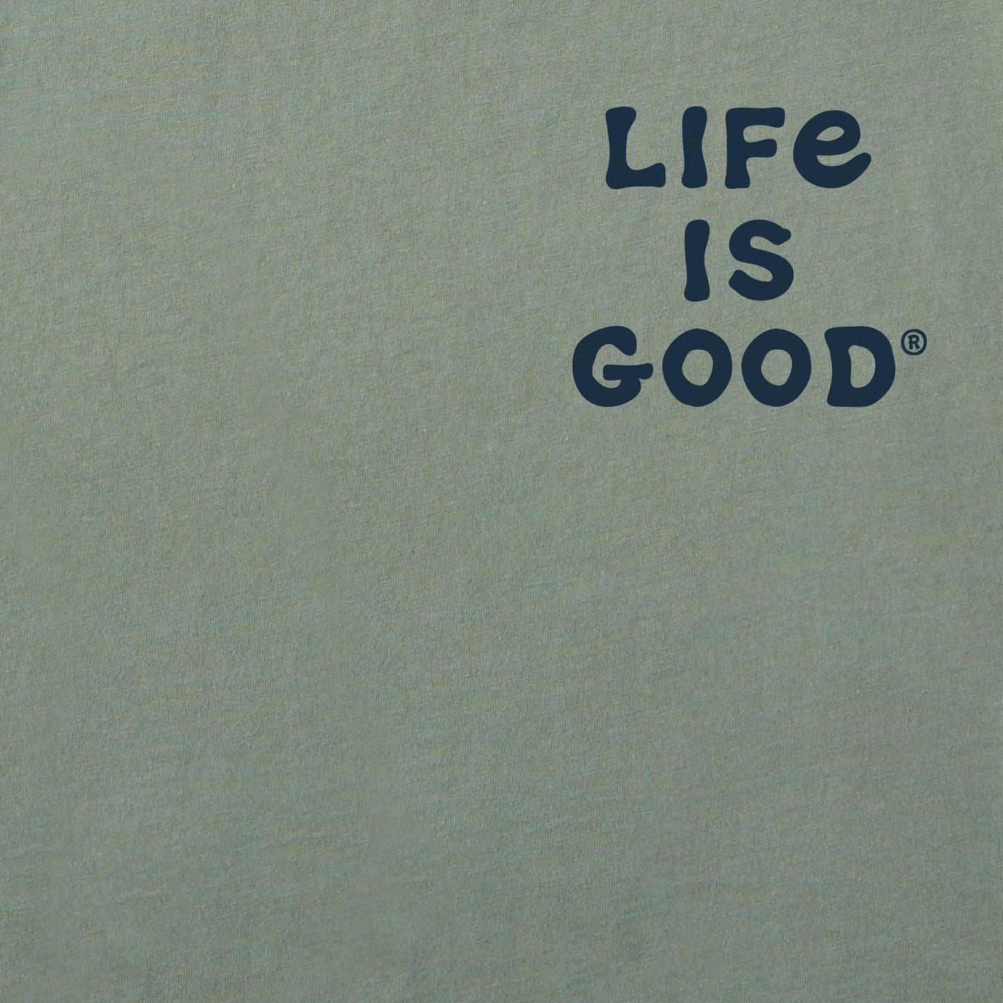 Men's Jake Can't Sing Guitar Short Sleeve Crusher Tee