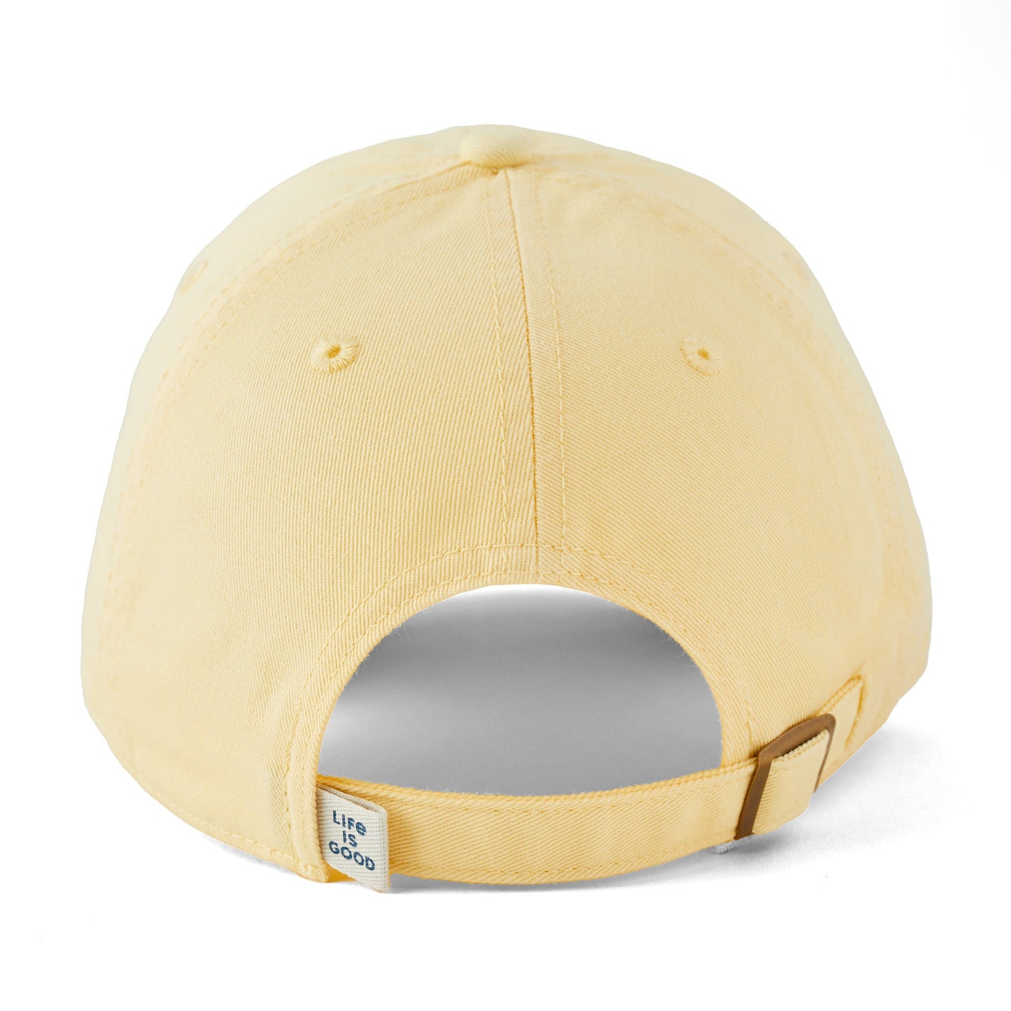 Adult Unisex Watercolor Turtle Chill Cap