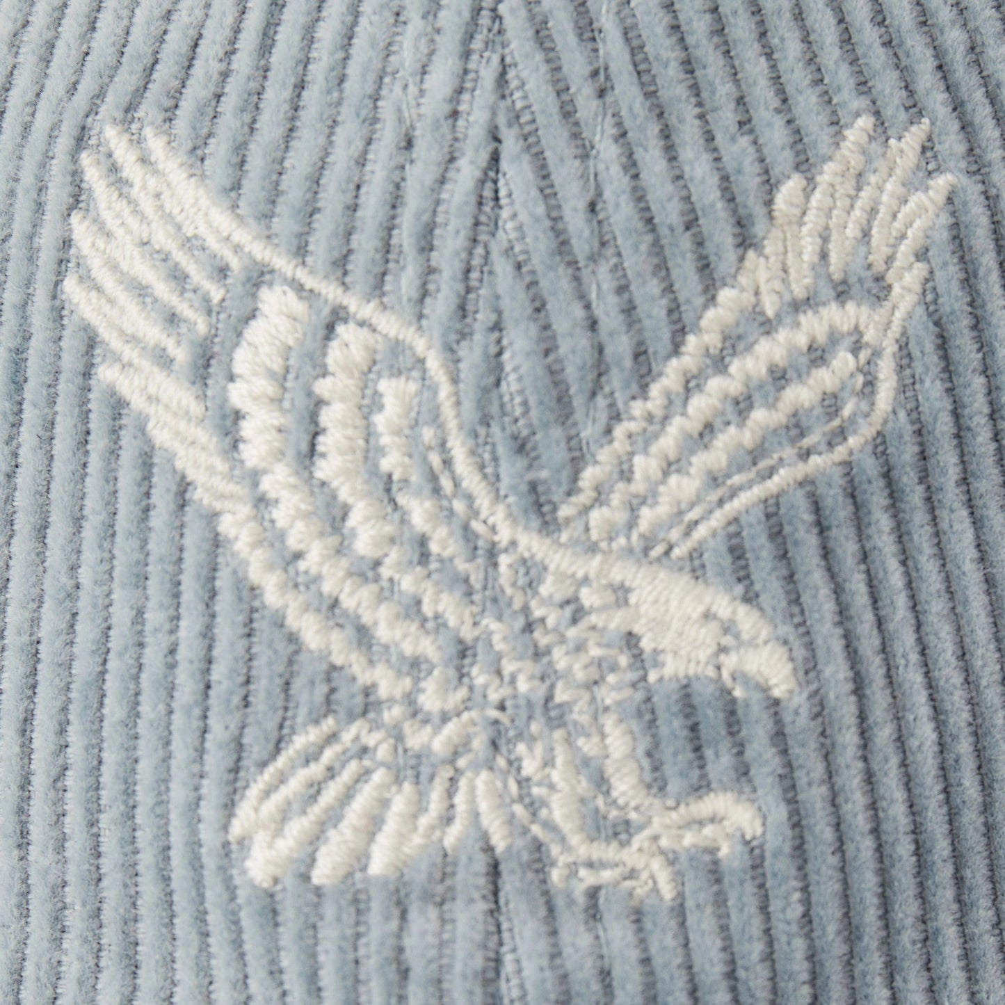 Adult Unisex Eagle LIG Corduroy Chill Cap