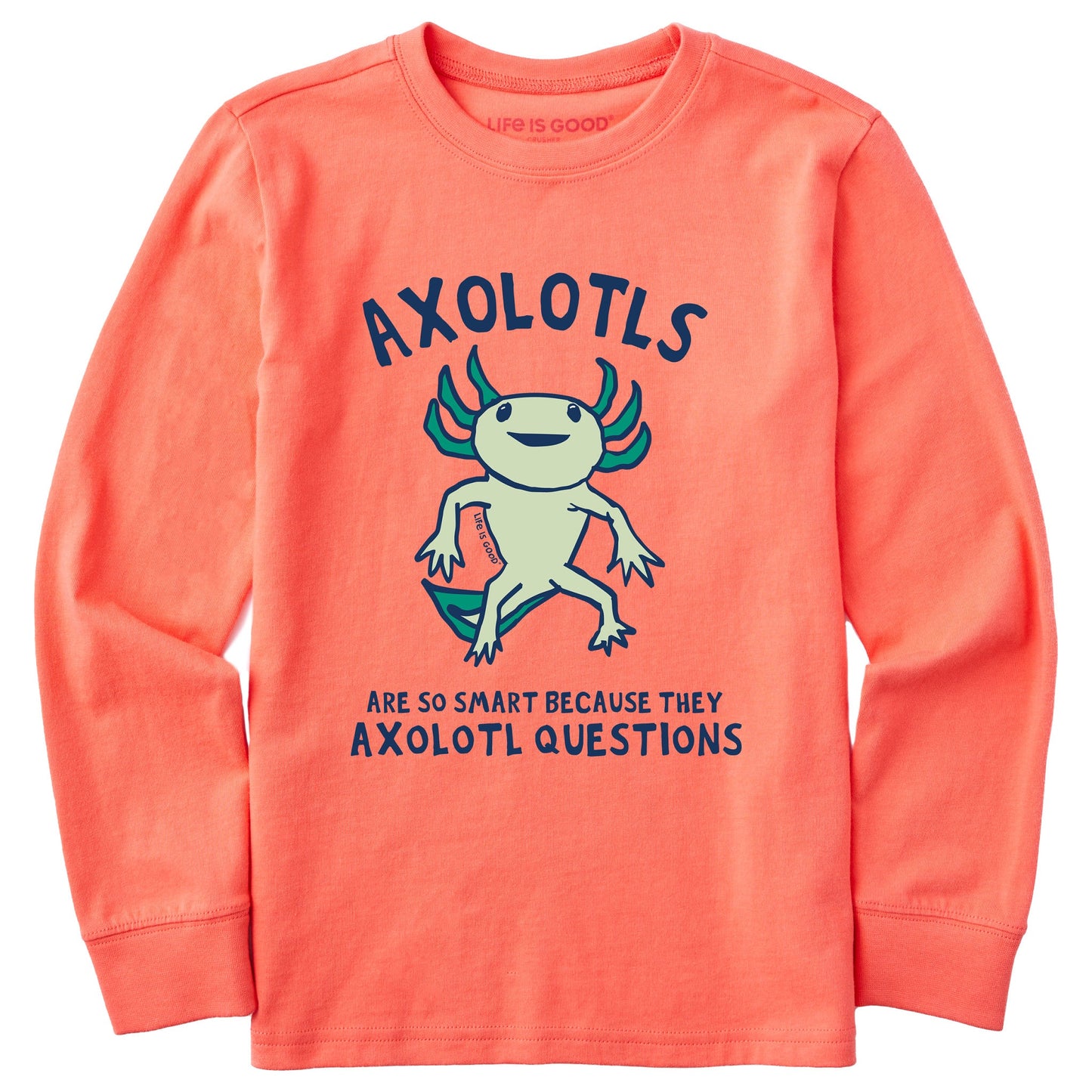 Kids Axolotls Questions Long Sleeve Crusher Tee