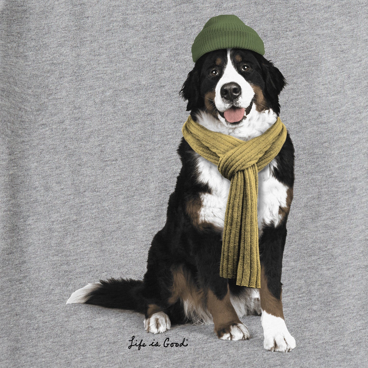 Kids Photoreal Bernese Long Sleeve Crusher Tee