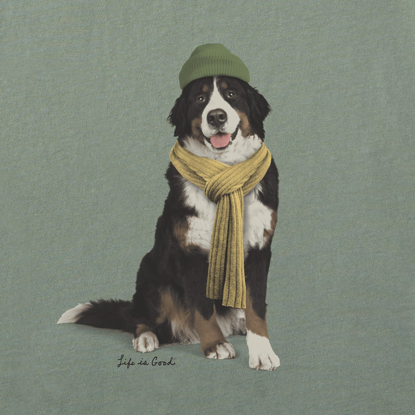 Men's Photoreal Bernese Long Sleeve Crusher Tee