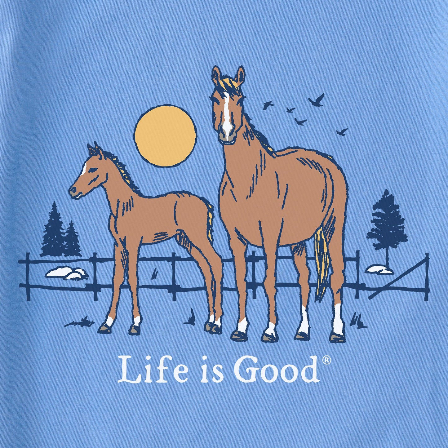 Kids Horse and Foal Short Sleeve Crusher Tee