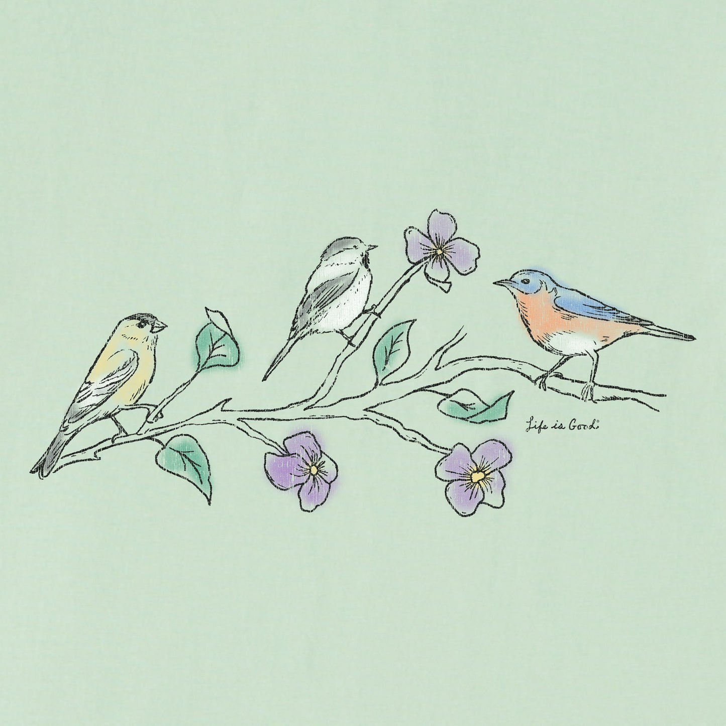 Women's Three Birds Short Sleeve Vee