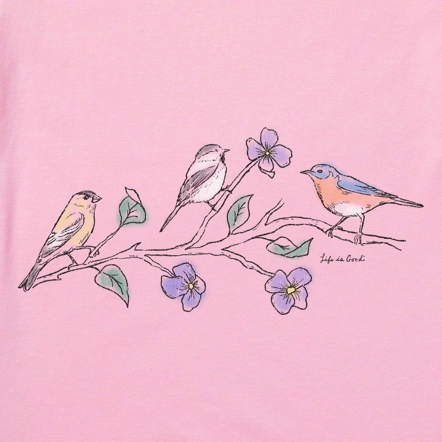 Women's Three Birds Short Sleeve Vee