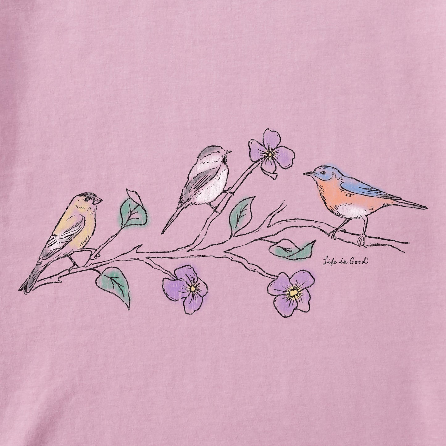 Women's Three Birds Short Sleeve Vee