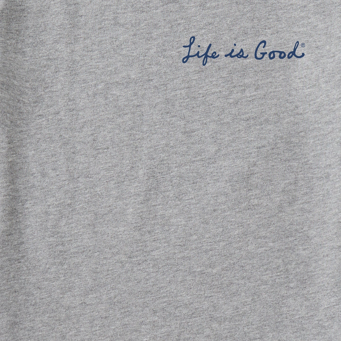 Men's Fierce Lion Short Sleeve Crusher Tee