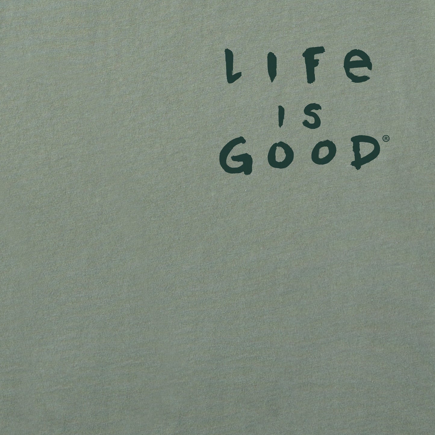 Men's Galapagos Tortoise Short Sleeve Tee