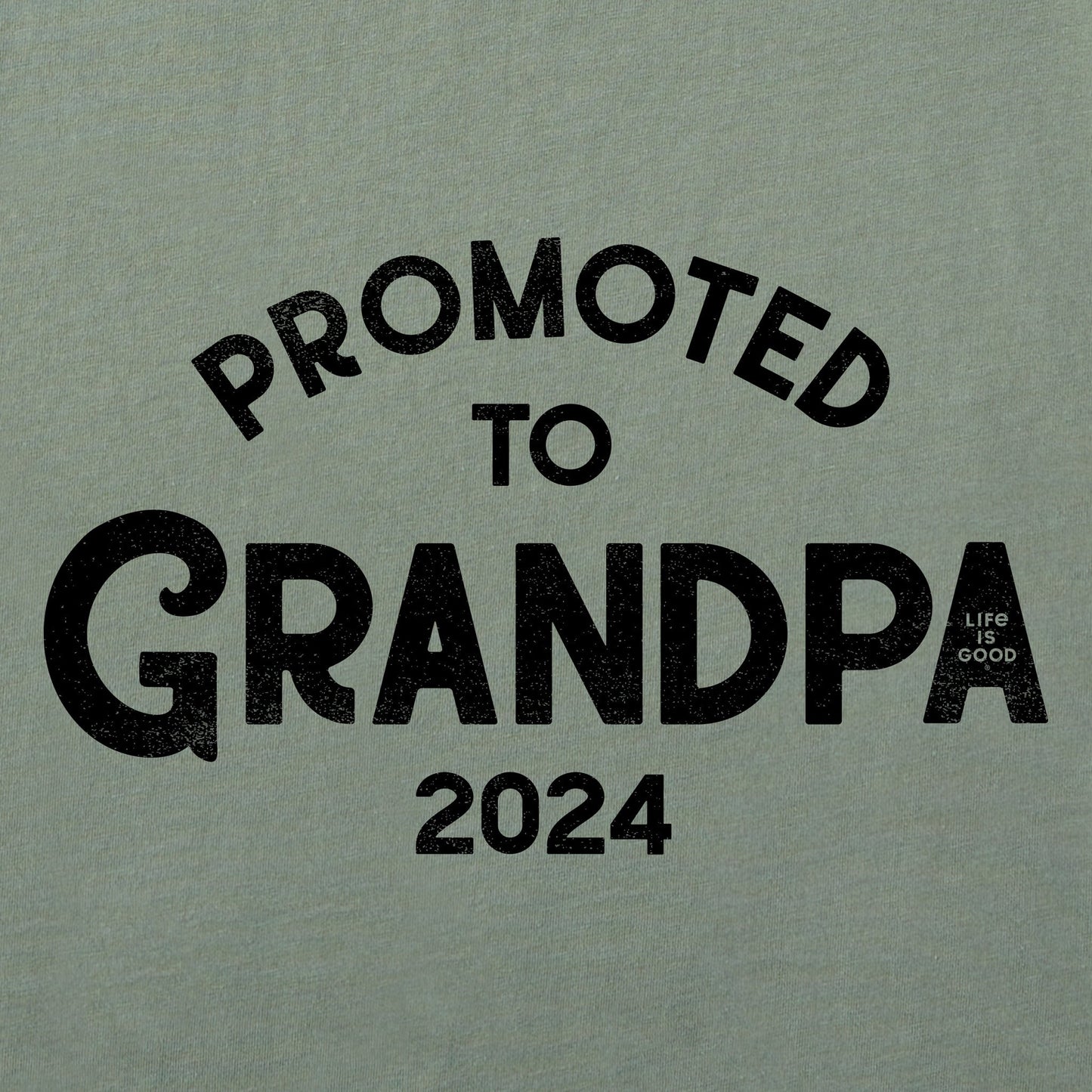 Men's Promoted to Grandpa 2024 Short Sleeve Tee