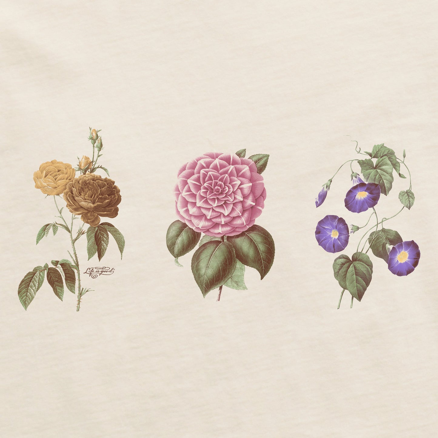 Women's Antique Botanicals Short Sleeve Crusher Boxy Tee