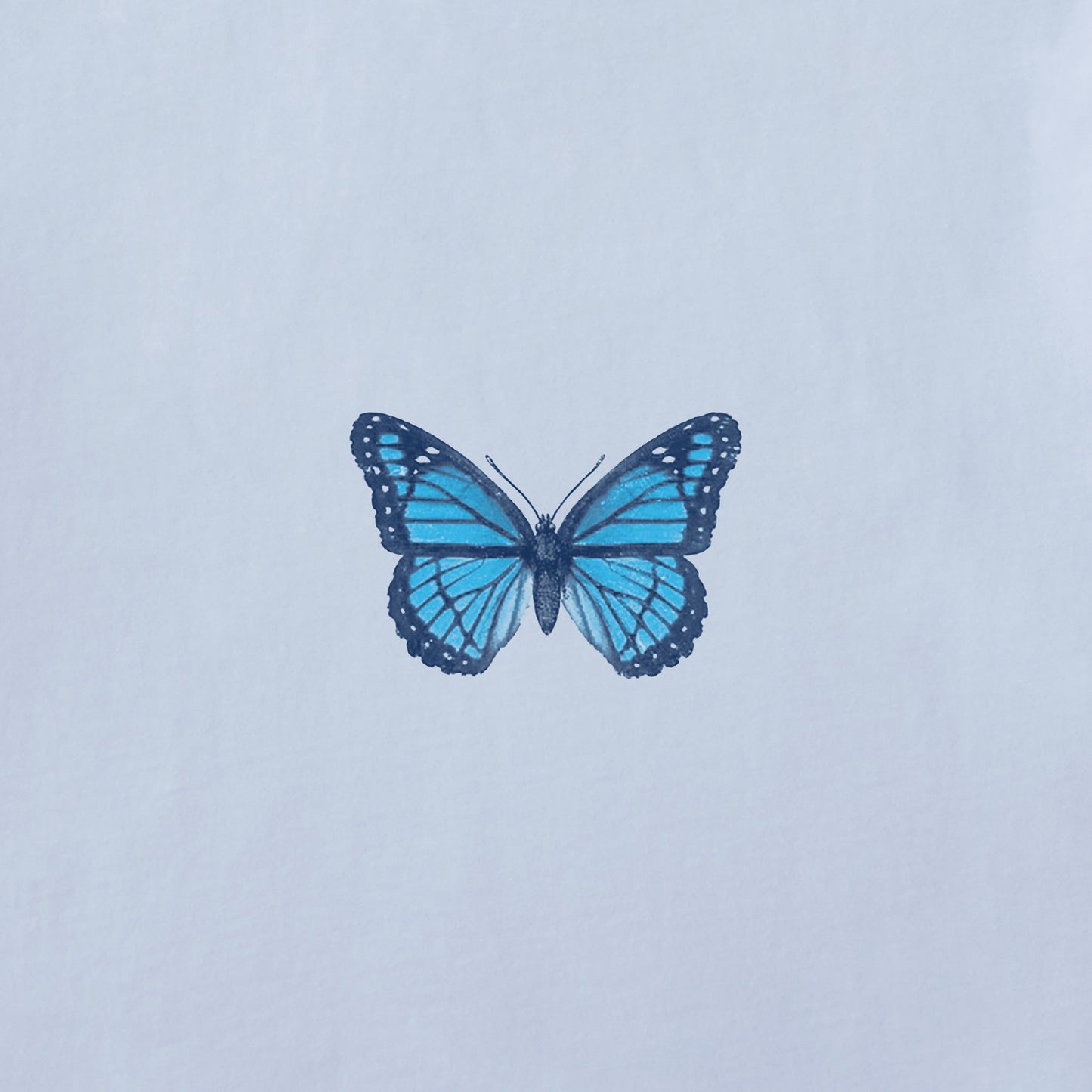 Women's Antique Floral Butterfly Short Sleeve Crusher Boxy Tee