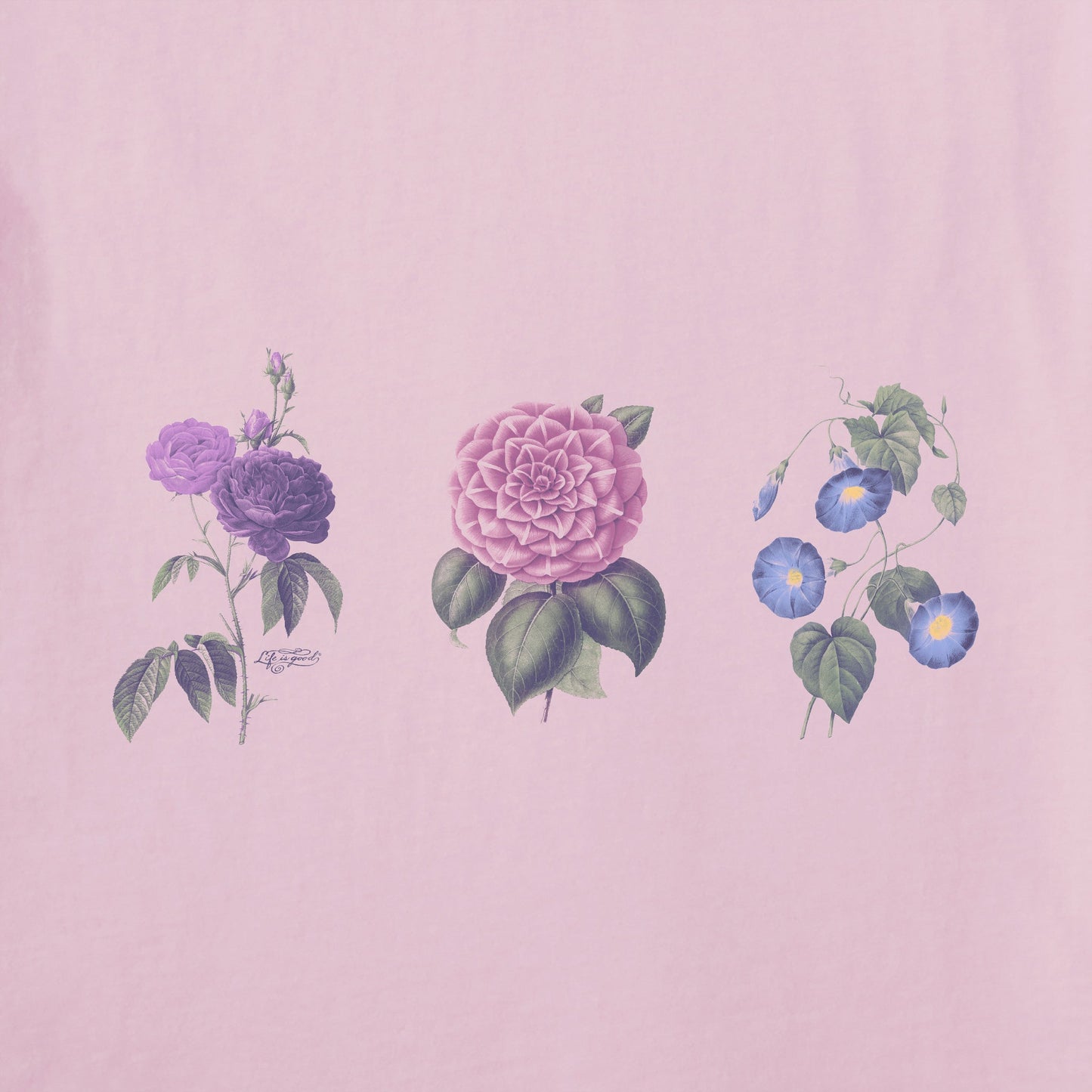 Women's Antique Botanicals Simply True Fleece Hoodie