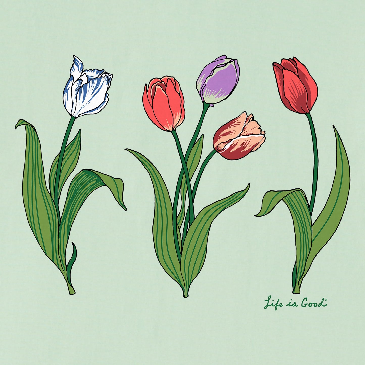 Women's 3 Genuine Tulips Short Sleeve Crusher Boxy Tee