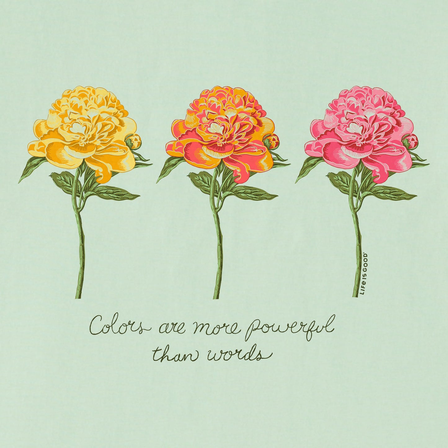 Women's 3 Botanical Peonies Short Sleeve Vee