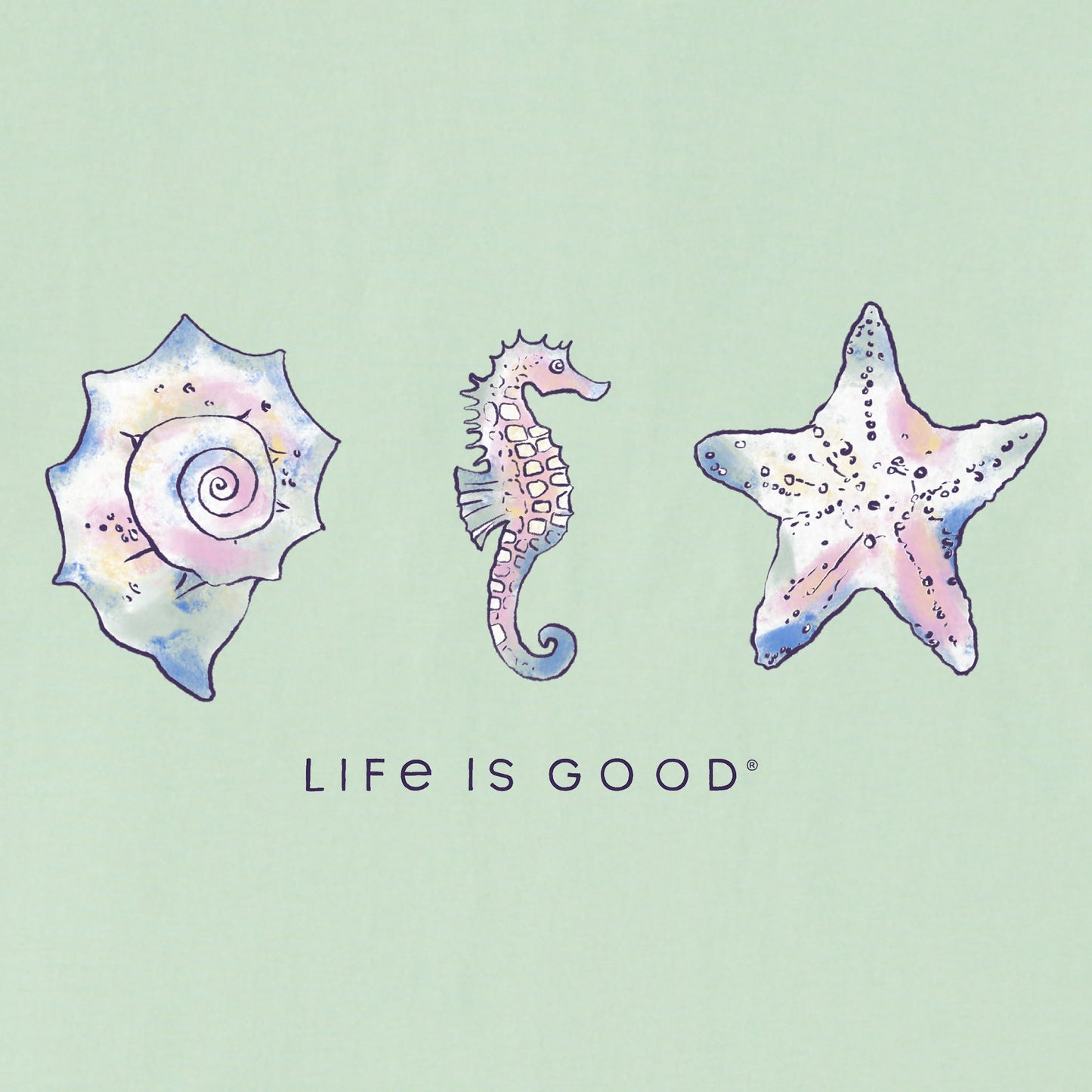 Women's Sea Life and Shells Short Sleeve Vee